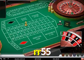 Descubra o Mundo do Cassino Online com rr55
